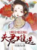 煳涂魔法师:夫君难选